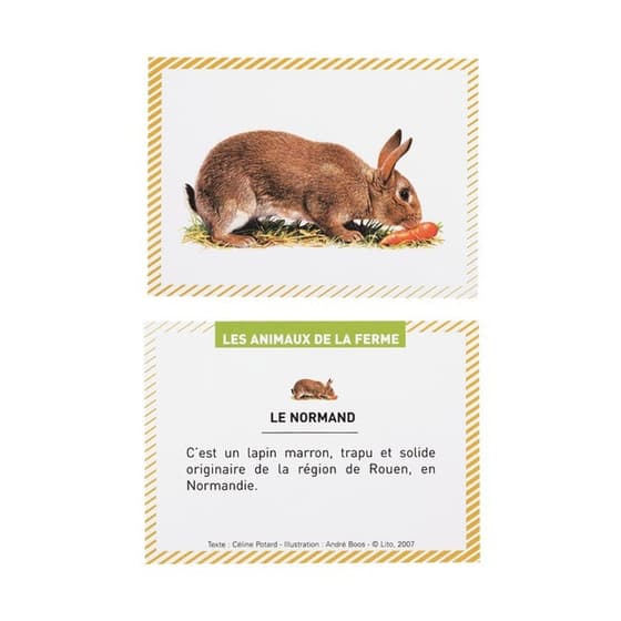 6596900---Boite-de-100-bons-points-LITO-animaux-de-la-ferme-fiche