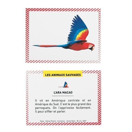 LIT01923---boîte-de-100-bons-points-lito-les-animaux-sauvages-vu