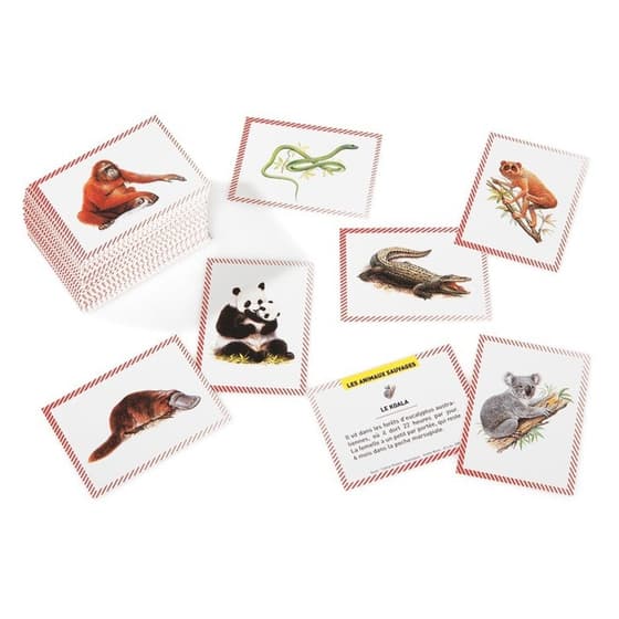 LIT01923---boîte-de-100-bons-points-lito-les-animaux-sauvages-modele