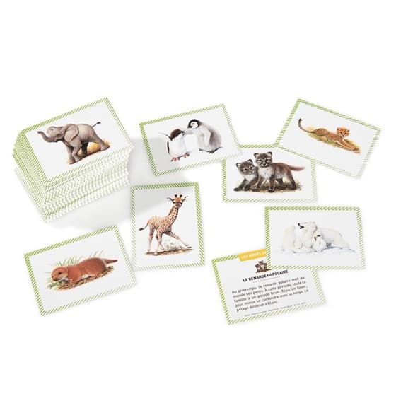 LIT01933---boîte-de-100-bons-points-lito-les-bébés-animaux
