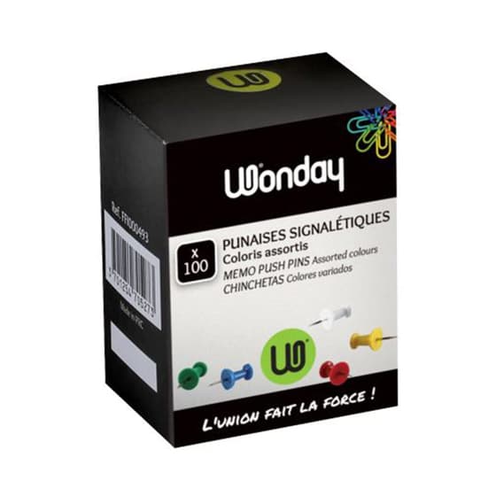FFI000493-boite de 100 epingles pointe acier tete plastique