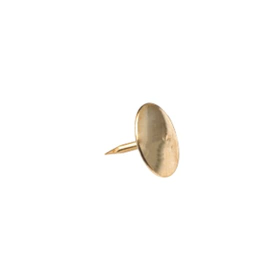 FFI000672-100-punaises-laitonnees-2