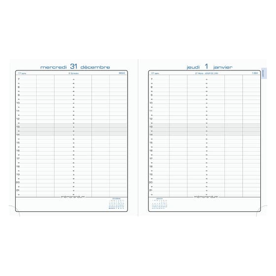 224121E-agenda-1jour-page-exacompta-journee-planifiee-22-barbara-22,5x18cm-2021