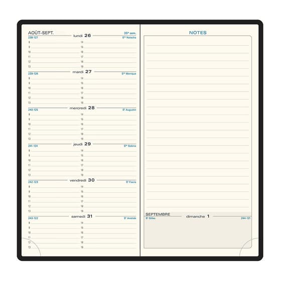17240E-agenda-semainier-exacompta-espace-17-cassandra-17,5x9cm-2021