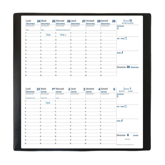 217027Q-agenda-quinzainier-quovadis-bi-planning-fr-mpala-8,8x17cm-2021-noir-1