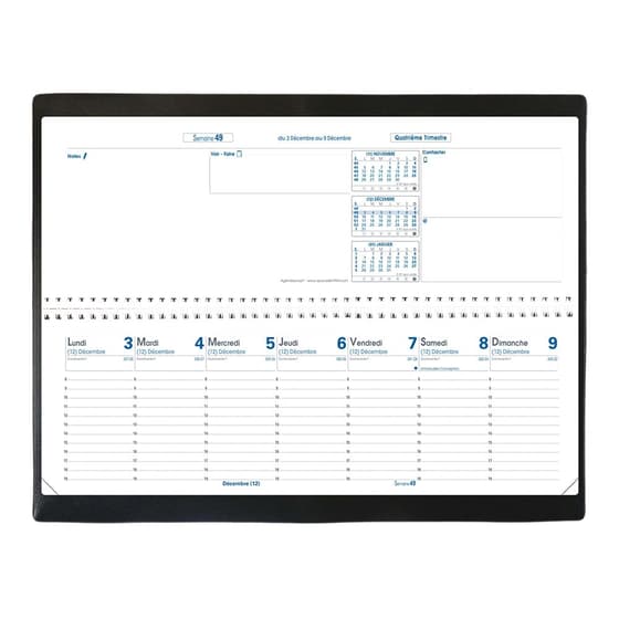 020024Q-Agenda-a-spirale-semainier-quovadis-agendascope-impala-30x10cm-2021-noir-1