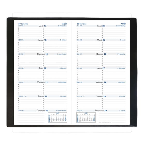 216031Q-agenda-quinzainier-quovadis-silma-fr-impala-8,8x17cm-bleu-2021-1