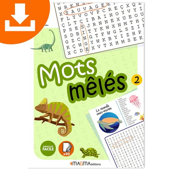 vignette-mots-meles-magma-editions-facile-volume-2