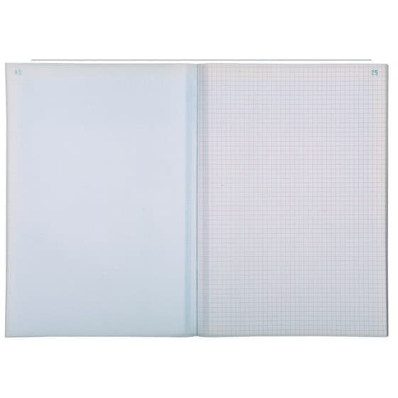 3300e-exacompta-carnet-autocopiant-quadrille-dupli-interieur