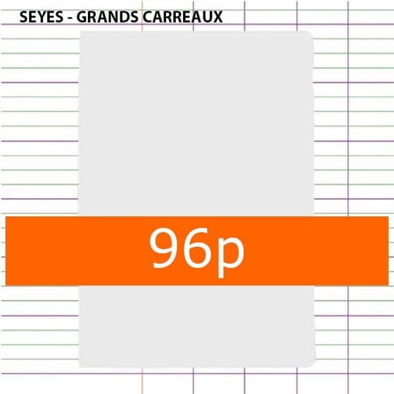Cahier-scolaire-96-pages-Seyès-21x29,7-polypro-incolore-9461348