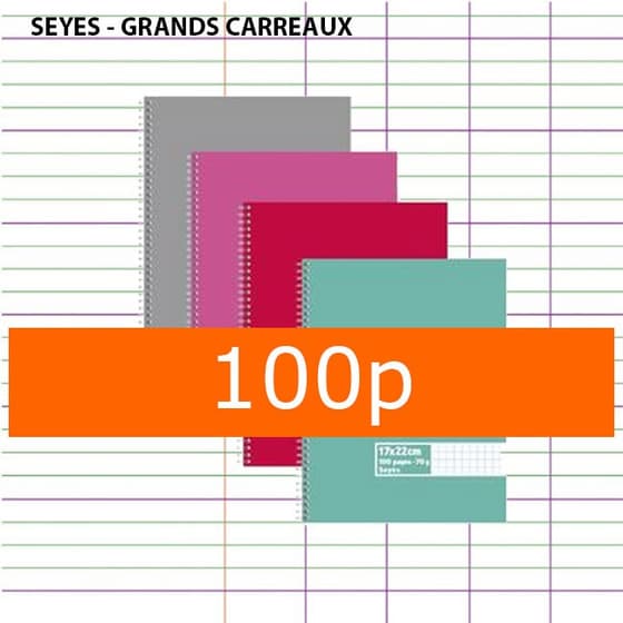 Cahier-spirale-reliure-intégrale-100-pages-70g-Seyès-17x22-couvertures--assorties-9514867