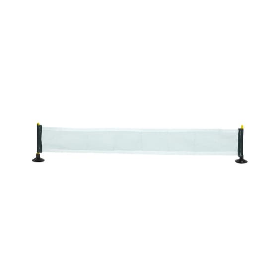 CMPEA10067-jeu-de-ping-pong-chien-4