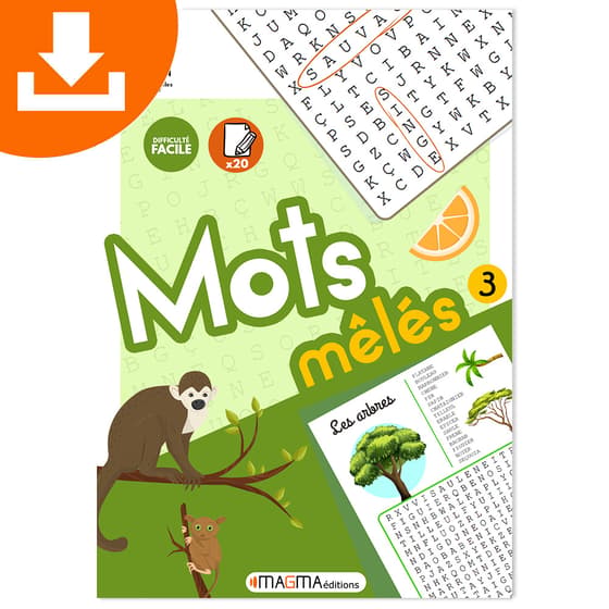 vignette-mots-meles-magma-editions-facile-volume-3