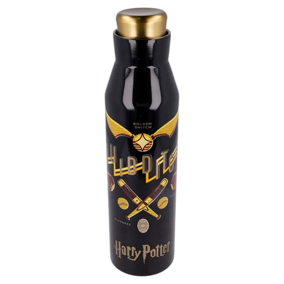 STO03941-gourde-inox-isotherme-harry-potter-quidditch-580ml-2