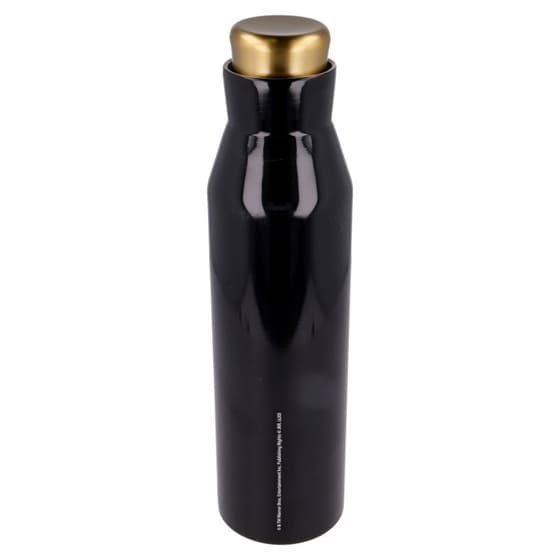 STO03941-gourde-inox-isotherme-harry-potter-quidditch-580ml-3