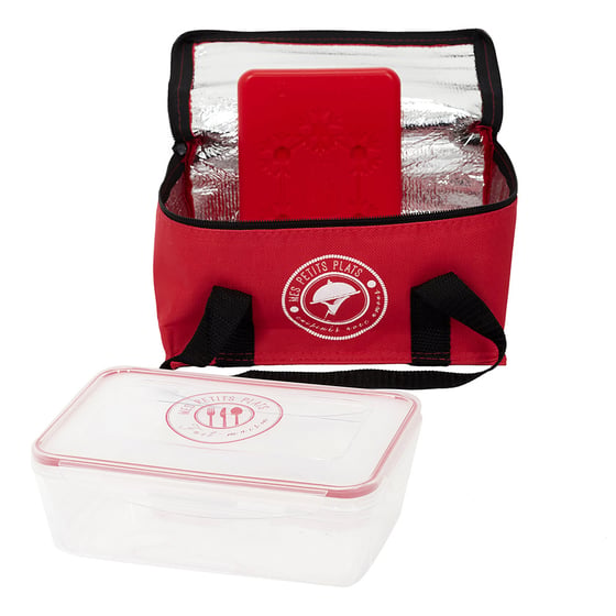 Lot de 6 Pains de Glace Blocs Réfrigérant Sac Isotherme Glacière Pique Nique Glaçon Randonnée