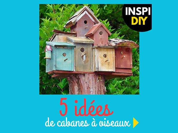 5 idées DIY de cabanes à oiseaux