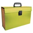 Trieur valisette Vert EXACOMPTA 20 compartiments 