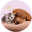Animaux Cute