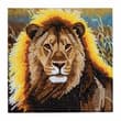 Kit carte broderie DIAMOND ART Lion