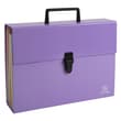 Trieur valisette EXACOMPTA Aquarel 18 compartiments mauve