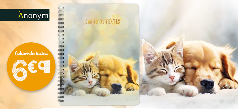 Cahier de texte primaire CP à 6e pas cher – Modèles 2025 | Rentreediscount