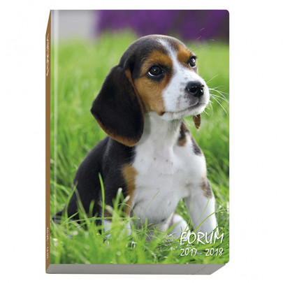 Agenda chien Agenda chien