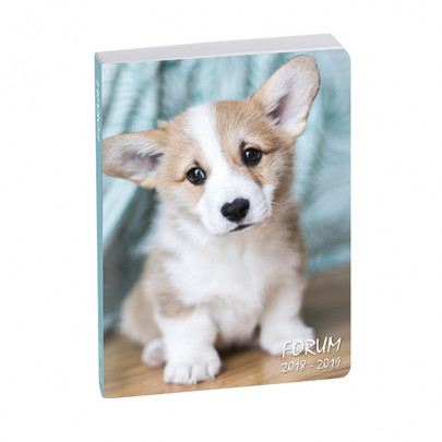 Agenda chien Agenda chien
