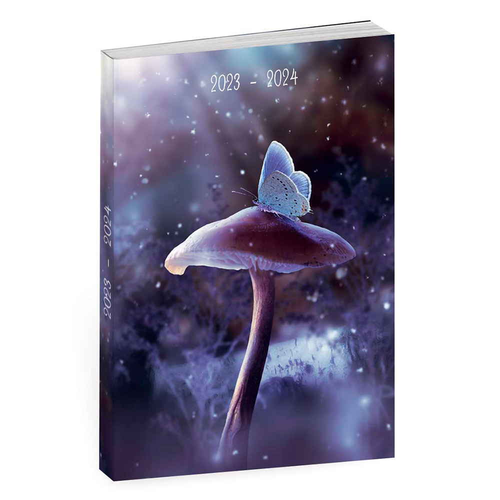 Agenda scolaire ANONYM Magic Forest 20232024 Chez Rentreediscount