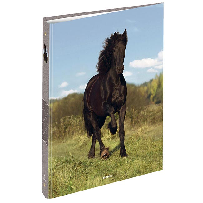 classeur 4 anneaux cheval