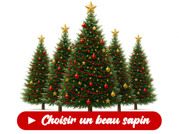 visuel-sapins