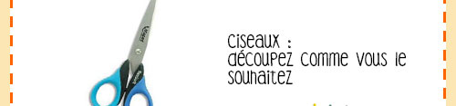 ce-qu'il-me-faut-activite-poisson-avril_05