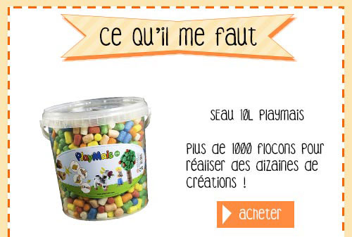 ce-qu'il-me-faut-playmais_01