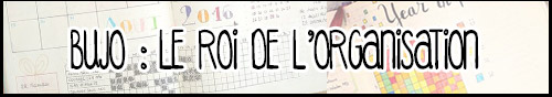 sur-le-meme-theme-bujo_03