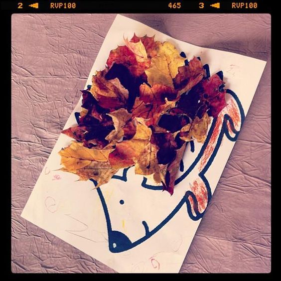 herisson-feuilles