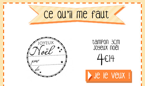 ce-qu'il-me-faut-présentation-noel_01