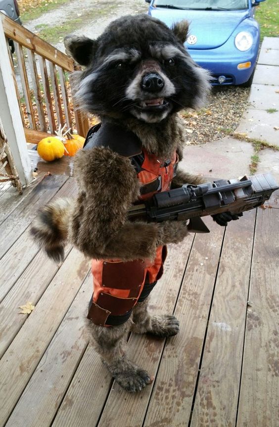 rocket-maquillage-carnaval-BONUS