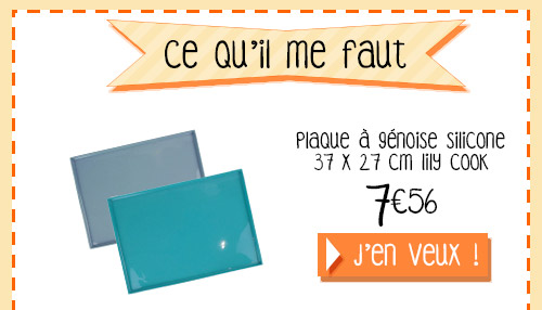 ce-qu'il-me-faut-gateau-roule_01