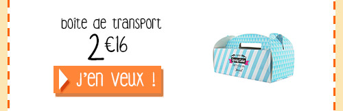 ce-qu'il-me-faut-gateau-roule_04