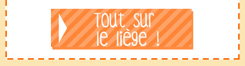 ce-qu'il-me-faut-idees-creatives-liege_05