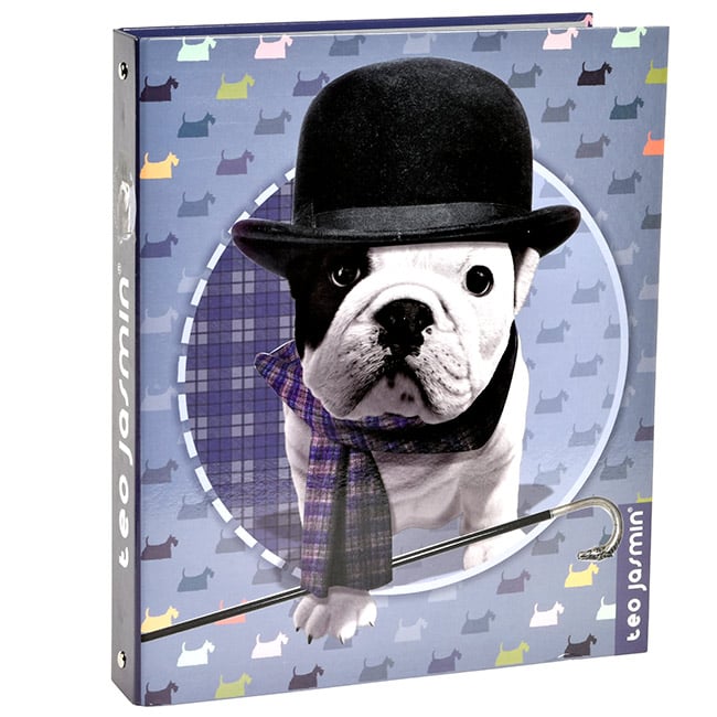 tak01003chapo-classeur-scolaire-teo-jasmin-chapeau