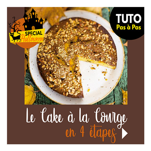 cake-courge-vignette-blog