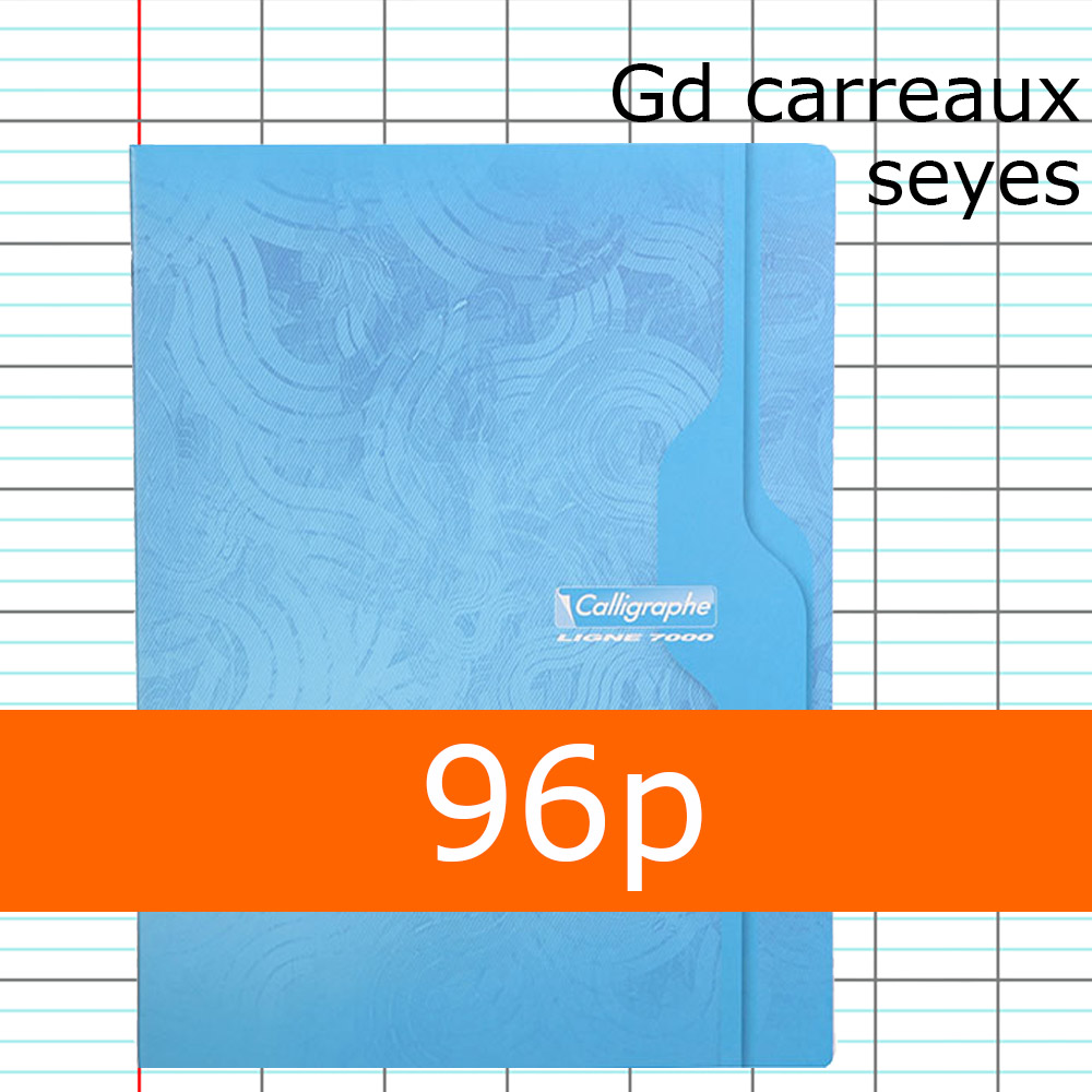 Lot De 5 Feuillets Mobiles, Format 21 X 29,7 Cm, 200 Pages, Grands Carreaux Blancs, 90g - Sous