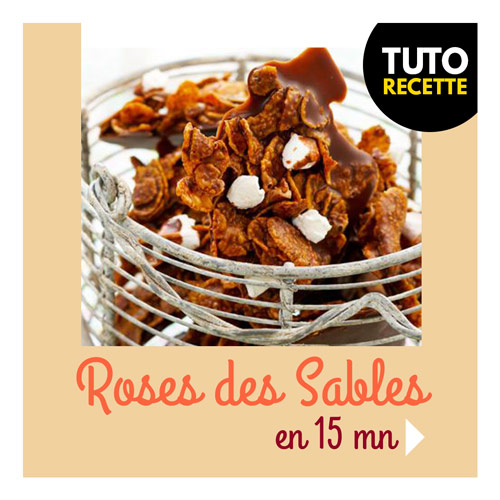 vignette-roses-des-sables