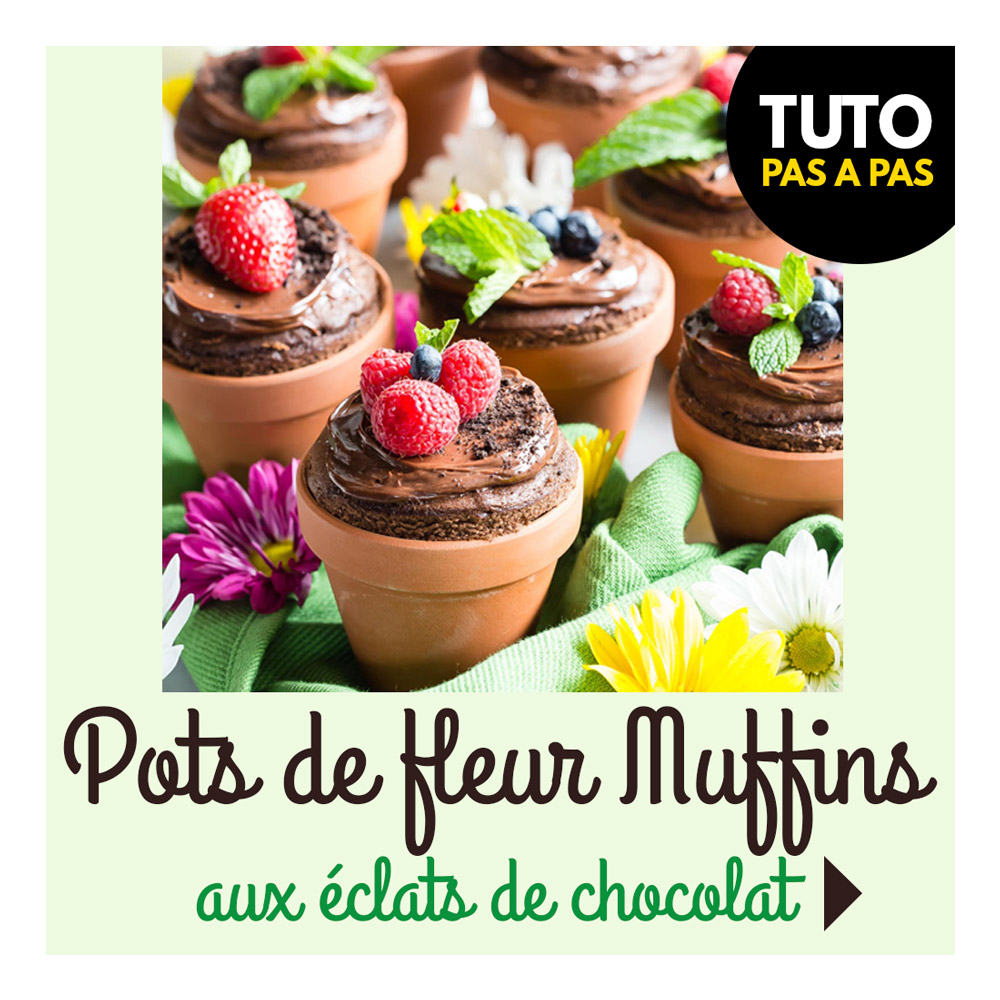 vignette-pot-de-fleur-muffin