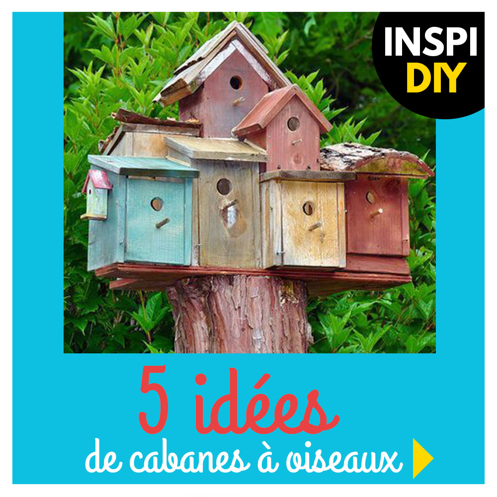 BLOG-vignettes-cabanes-a-oiseaux2