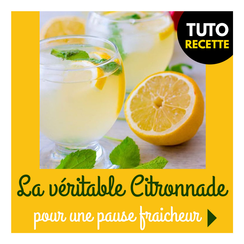 vignette-citronnade