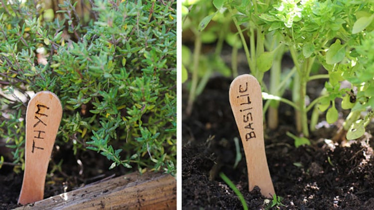etiquettes-plantes-batonnet-glace
