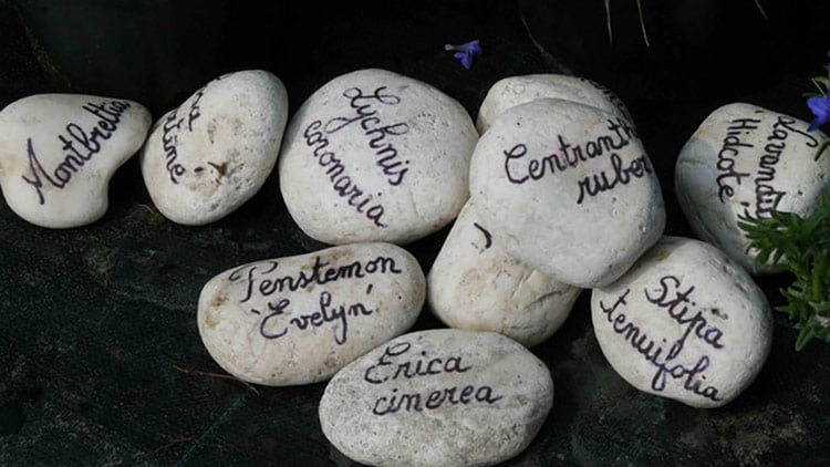 etiquettes-plantes-galets