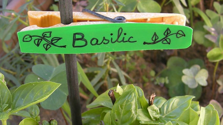 etiquettes-plantes-pince-a-linge